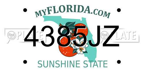4385JZ Florida License Plate