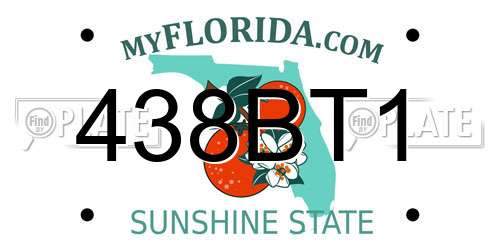 438BT1 Florida License Plate