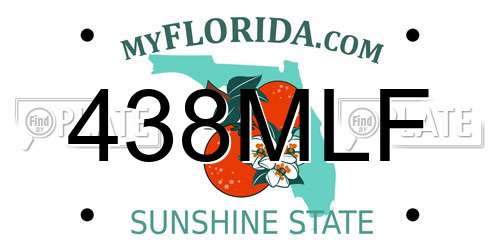 438MLF Florida License Plate