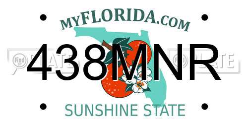 438MNR Florida License Plate