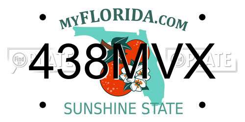 438MVX Florida License Plate
