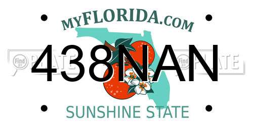438NAN Florida License Plate