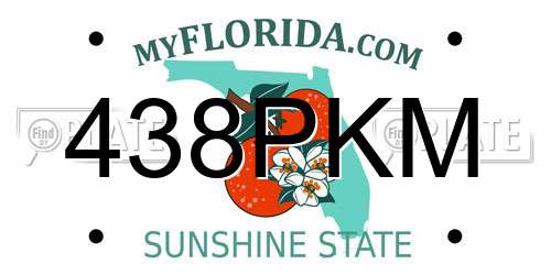 438PKM Florida License Plate