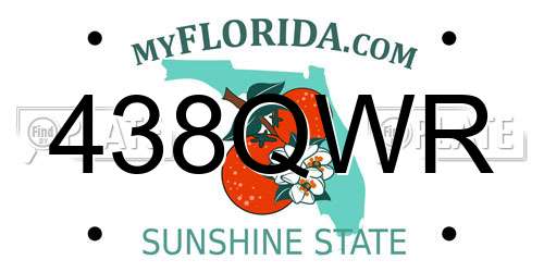 438QWR Florida License Plate