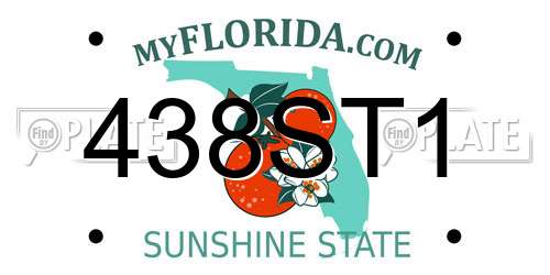 438ST1 Florida License Plate