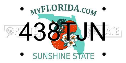 438TJN Florida License Plate