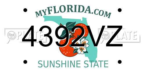 4392VZ Florida License Plate