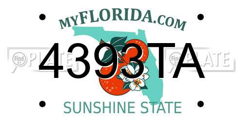 4393TA Florida License Plate