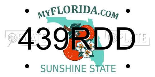 439RDD Florida License Plate