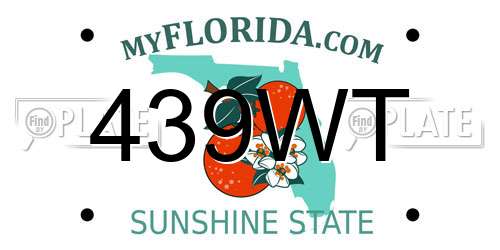 439WT Florida License Plate