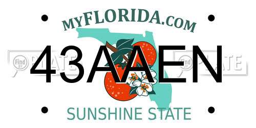 43AAEN Florida License Plate