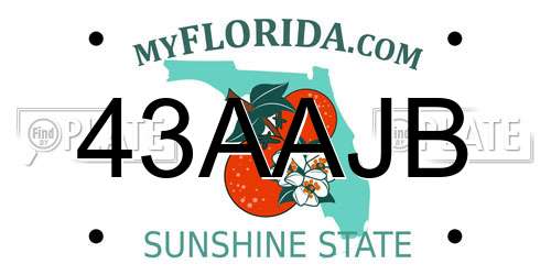 43AAJB Florida License Plate