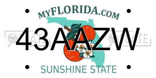 43AAZW Florida License Plate