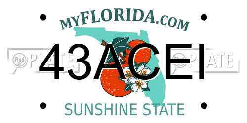 43ACEI Florida License Plate