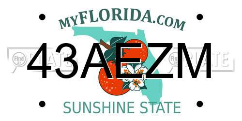 43AEZM Florida License Plate