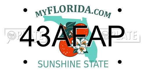 43AFAP Florida License Plate