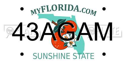 43AGAM Florida License Plate