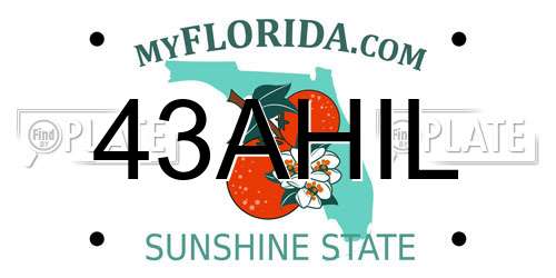 43AHIL Florida License Plate