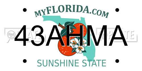 43AHMA Florida License Plate