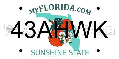 43AHWK Florida License Plate