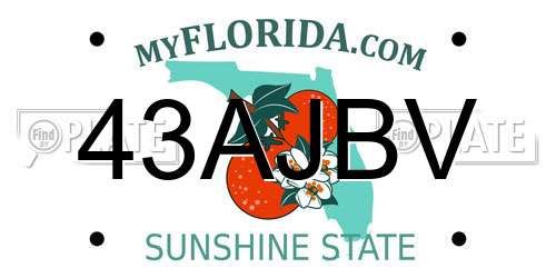 43AJBV Florida License Plate
