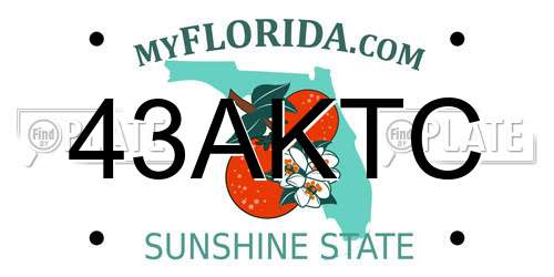 43AKTC Florida License Plate