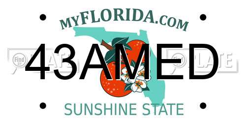 43AMED Florida License Plate