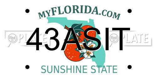 43ASIT Florida License Plate