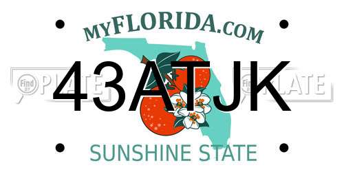 43ATJK Florida License Plate