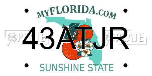43ATJR Florida License Plate