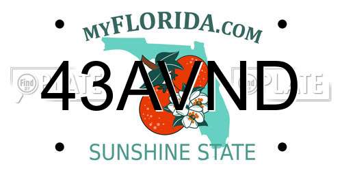 43AVND Florida License Plate