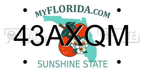 43AXQM Florida License Plate