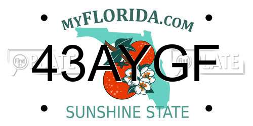 43AYGF Florida License Plate