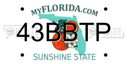 43BBTP Florida License Plate