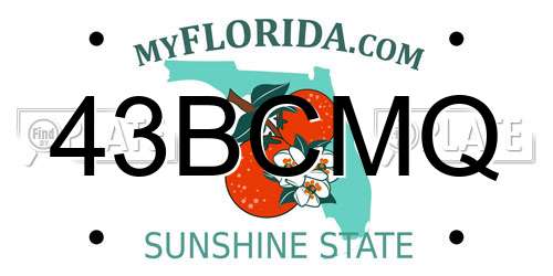 43BCMQ Florida License Plate
