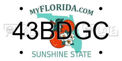 43BDGC Florida License Plate