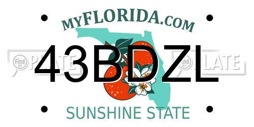 43BDZL Florida License Plate