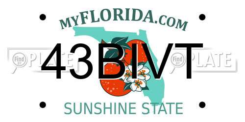 43BIVT Florida License Plate