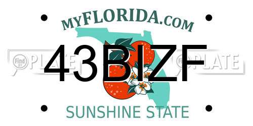 43BIZF Florida License Plate
