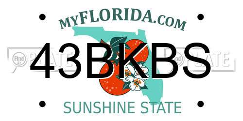 43BKBS Florida License Plate