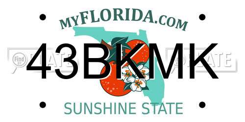 43BKMK Florida License Plate
