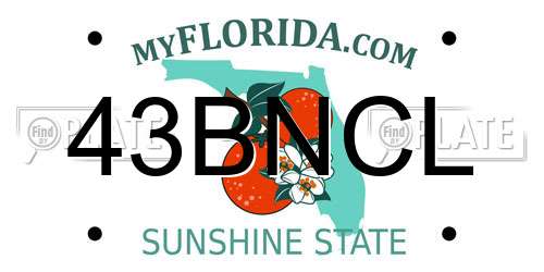 43BNCL Florida License Plate
