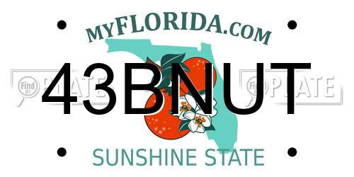 43BNUT Florida License Plate