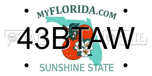 43BTAW Florida License Plate