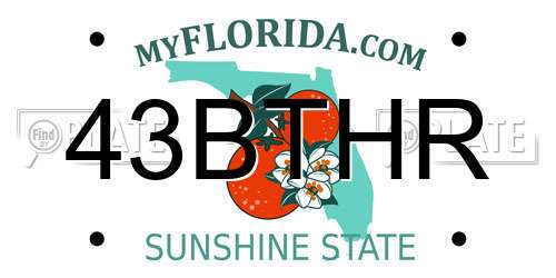 43BTHR Florida License Plate