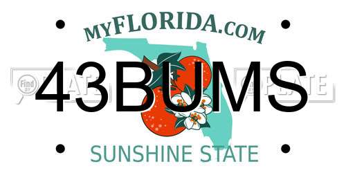 43BUMS Florida License Plate