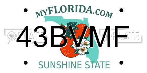 43BVMF Florida License Plate