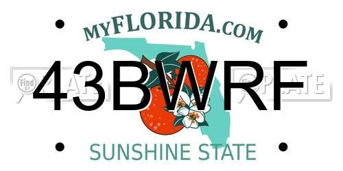 43BWRF Florida License Plate