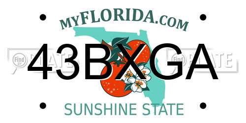 43BXGA Florida License Plate