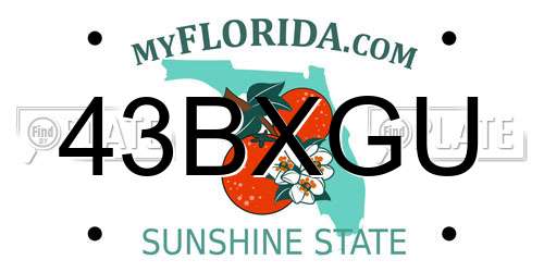 43BXGU Florida License Plate